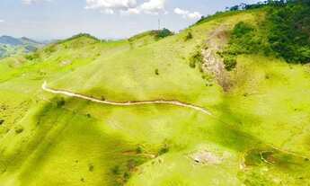 Imagem 7: Venda-se está Propriedade de aproximadamente 19 alqueires localizada no Município de São J