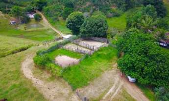 Imagem 2: Venda-se está Propriedade de aproximadamente 19 alqueires localizada no Município de São J