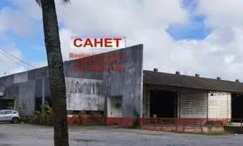 Imagem: Alugo excelente Galpão com estacionamento/doca