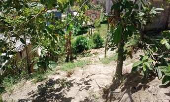 Imagem: Comunidade Nova vida