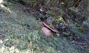 Imagem 4: Vende-se terra Chácara com venda por R$908.000