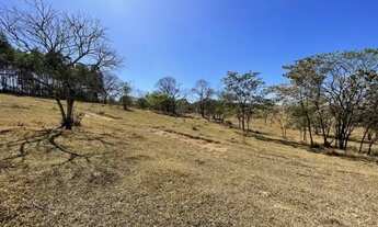 Imagem 7: Fazendinha de 11 Hectares com nascente de água e 10 mil pés de Eucaliptos Plantados em Ita