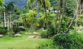 Imagem 2: PROMOÇÃO TERRENO COM VIABILIDADE COMERCIAL E RESIDÊNCIAL