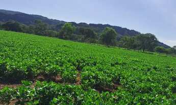 Imagem 6: Oportunidade! Vende-se uma excelente fazenda de 68.8 hectares