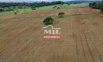 Imagem 7: Chácara 9 alqueires (43 hectares) Leopoldo de Bulhões - Go