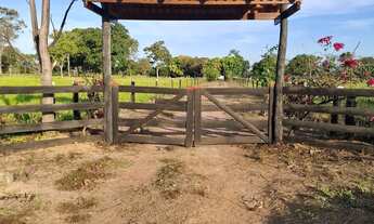 Imagem: Sítio excelente todo formado