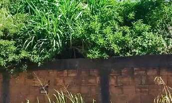 Imagem: 8 LOTES com total de 3.584 m² em Verdes