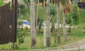 Imagem 12: Granja Familiar natal e ano novo indisponível