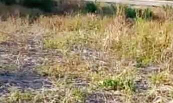 Imagem: Terreno bem localizado CE.040 Beberibe Ceará