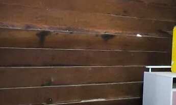 Imagem 4: Chácara, Sapiranga, 8 km asfalto