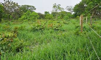 Imagem: Terreno de 2,75 ha, a 18 km da cidade de