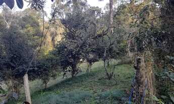 Imagem 4: Chácara em Mandirituba