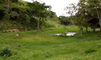 Imagem 7: Venda-se está propriedade de 27,5 alqueires no Município de Mimoso do Sul/ES