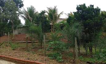 Imagem 2: CHÁCARA À VENDA ALEXÂNIA / ALVORADINHA