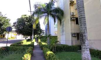 Imagem 3: /Alpinia - atrás da Bemol da Torquato