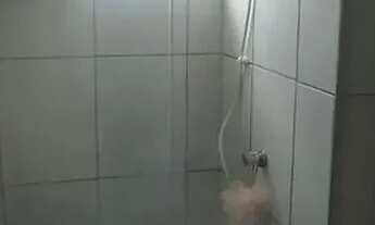 Imagem 6: Excelente apartamento no Bancários (57 m², Escsada, 2/4, Residencial Porto Venice