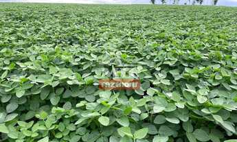 Imagem 4: Fazenda 58 alqueires (280,7 hectares) Itarumã -GO