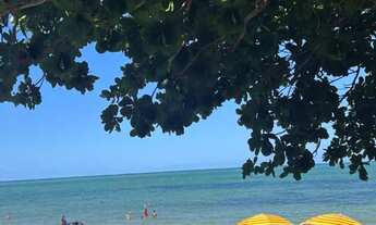 Imagem 4: Ponta de Pedras-Goiana-PE