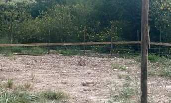 Imagem 3: Lote 400 metros em condomínio na Arniqueiras