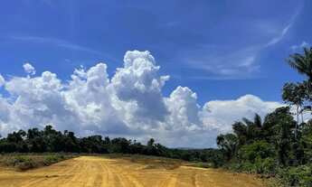 Imagem 5: PASSÁROS DA AMAZÔNIA Com vista privilegiada para Manaus e a Ponte Rio Negro mensais R$507