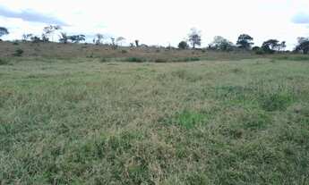 Imagem 5: Excelente fazenda com casa sede, curral, boas aguadas, rio e muito capim , próxima / Feira