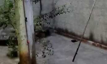 Imagem 6: Casa para repasse