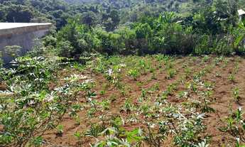 Imagem 4: Lotes no bairro paraíso em mateus leme