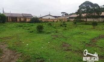 Imagem 4: Área à venda, 6050 m² por R$ 1.800.000,00 - Campo Largo da Roseira - São José dos Pinhais