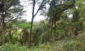 Imagem 5: CHÁCARA 3 MIL MTS EM CONDOMÍNIO EM IGARAPÉ