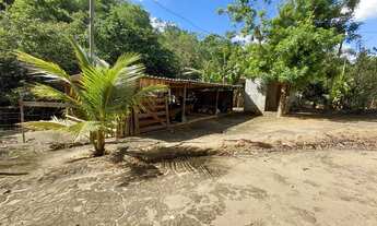 Imagem 7: Vendo sítio Chácara com venda por R$600.000