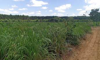 Imagem 3: Sitios Apartir 5.000 m²..Financiamento Proprio...