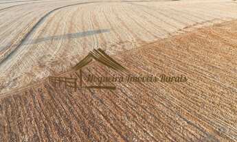 Imagem 7: Sítio com 17 alqueires terra vermelha em Quadra/SP