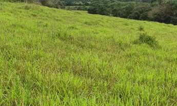 Imagem 4: Fazenda à venda em Monte Alegre de Minas