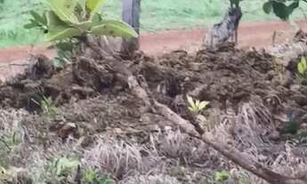 Imagem 5: Vendo tereno de chácara na ponte alta próximo ao clube dos vigilantes