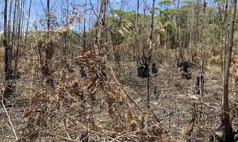 Imagem 4: Condição Especial: Terreno de 500m² em Ibiúna em Condomínio Tranquilo