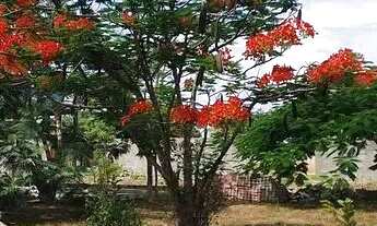 Imagem 12: Sapeaçu Ville, Loteamento escriturado, 300 m², frente Rodoviária Sapeaçu, infraestrutura