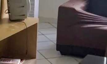 Imagem: Mata atlântica 2