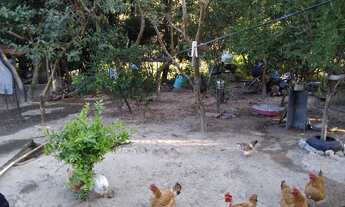 Imagem: Ótima oportunidade em Esmeraldas