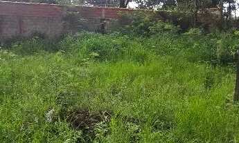 Imagem 4: VENDO. CHÁCARA DE 1.000m². CONDOMÍNIO PORTAL DOS IPÊS. ABAIXOU O PREÇO