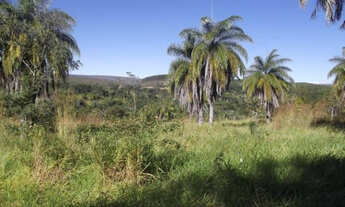 Imagem 6: Linda fazendinha de 30 mil metros, Serra do Cipo (Temos varias opções