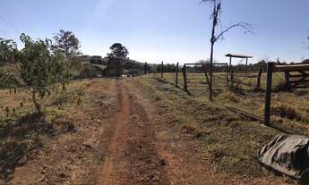 Imagem 7: Sítio município de Araguari