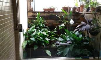 Imagem 2: CASA RESIDENCIAL em SANTANA DE PARNAÍBA - SP, ALPHAVILLE