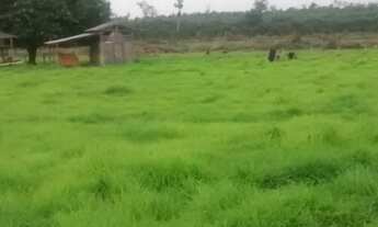 Imagem 3: Fazenda purissima