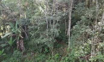 Imagem 6: Lindo Sítio na Toca da Onça - Lumiar RJ