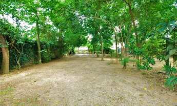 Imagem 3: Casa de 5 dormitórios no Campeche - Florianópolis/SC