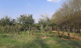 Imagem 7: Fazenda 142 Alqueires Região de Bauru - SP