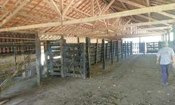 Imagem 3: Fazenda em arcerburgo 76 alqueires 8.500.000.00 ( doni