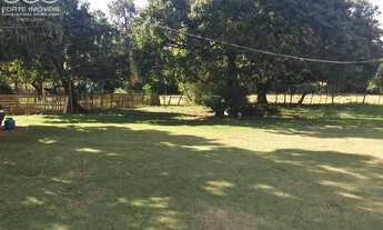 Imagem 3: SÍTIO RURAL em INDAIATUBA - SP, HELVÉTIA