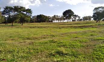 Imagem 4: Oportunidade Vendo Sítio com Área de 15.7 alqueires na região de Bauru