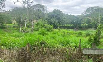 Imagem 3: Fazenda Jaguaraçu/MG (estrada p/ Cava Grande